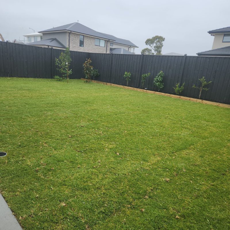 Grass Installation Project 3